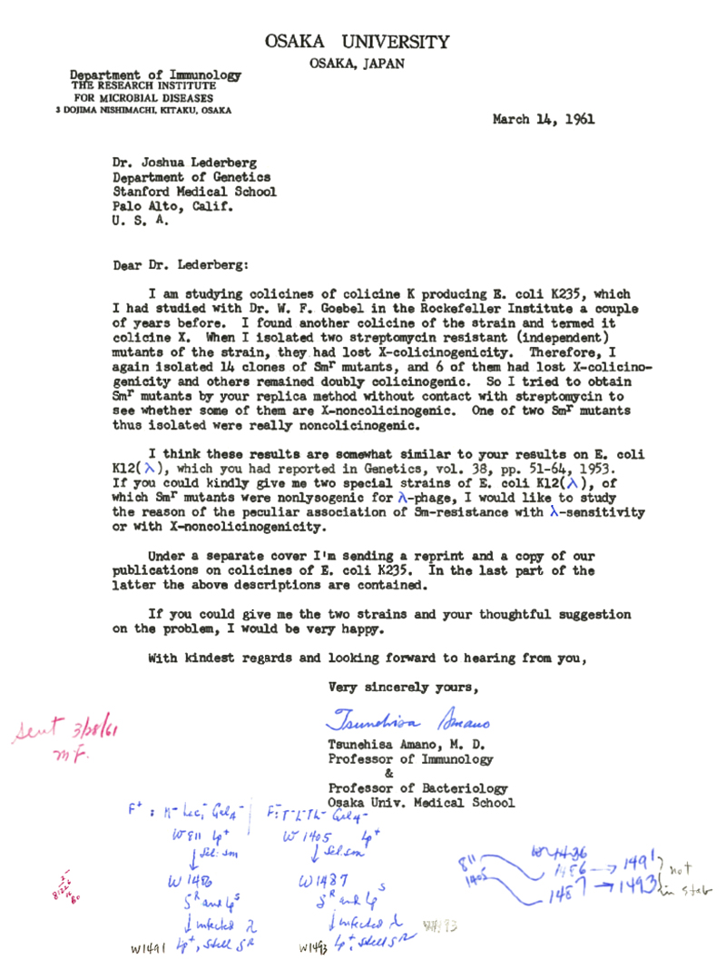 d0021 Tsunehise Amano to JL [colicine K E.coli K235 (WFGoebel Rockafeller) similar to lambda+EML notes] 3-28-61 59-61